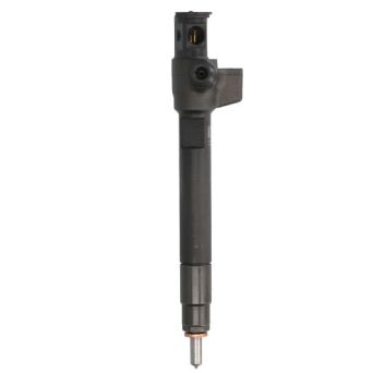 Einspritzdüse DELPHI FORD 28319898