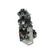 Injection pump BOSCH 0460424403 504208082 - 3