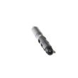 Injecteur DELPHI 28232234 - 2