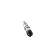 Injector BOSCH CR 04902525 - 2