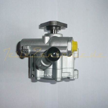 Servopumpe Hydraulikpumpe Lenkung DACIA 7613955613