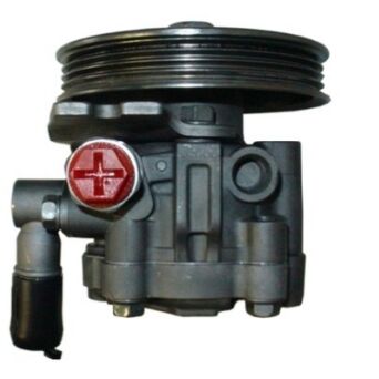 Power steering pump Nissan 491101C700