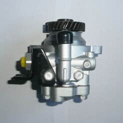 Power steering pump NISSAN 491102X800