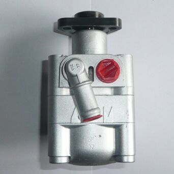 Servopumpe Hydraulikpumpe Lenkung BMW 7613955116