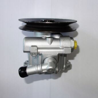 Power steering pump NISSAN 491102F600