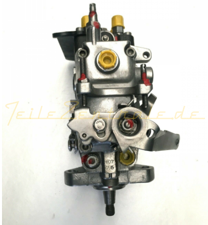 Injection pump BOSCH 0460494102 068130108K