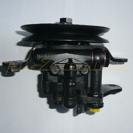 Power steering pump NISSAN 491103T400