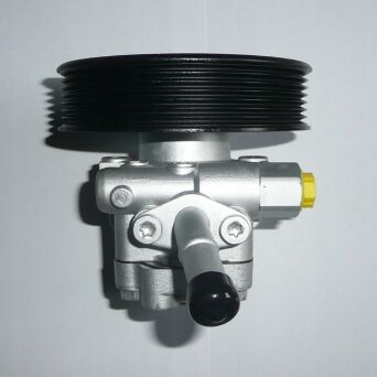 Power steering pump INFINITI 491101MA1A