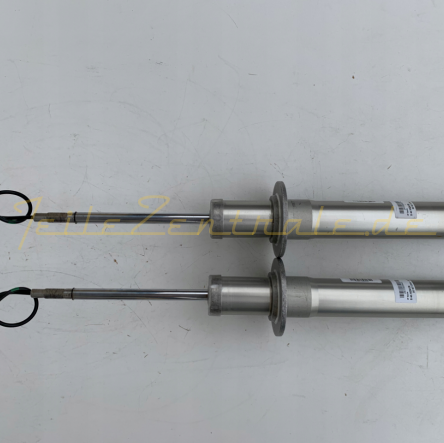 Ammortizzatore posteriore Maserati Quattroporte NUOVO ORIGINALE x2 248254