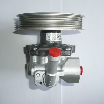 Servopumpe Hydraulikpumpe Lenkung AUDI 8R0145153B