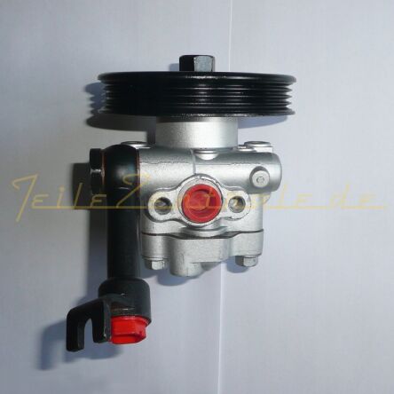 Servopumpe Hydraulikpumpe Lenkung NISSAN 491107Y000