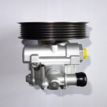 Servopumpe Hydraulikpumpe Lenkung SAAB 7691955308