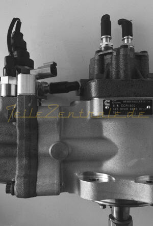 NUOVO Iniettore CUMMINS 3973228 6745711170 4921431 4903462 4954200 3973228  6745-71-1170 6745711170 87351412 84493585 4954200 4954200NX 4954200RX 4935674RX 4935674NX 2897500 2897500NX 2897500RX 4088643 4086604 4921434 4902731 4903462 4921431 4921431NX 